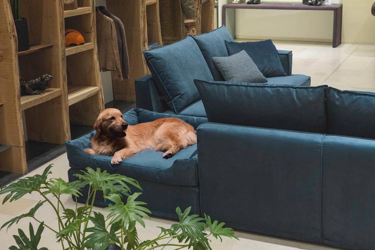 Divano moderno Top Lops Glammy 4